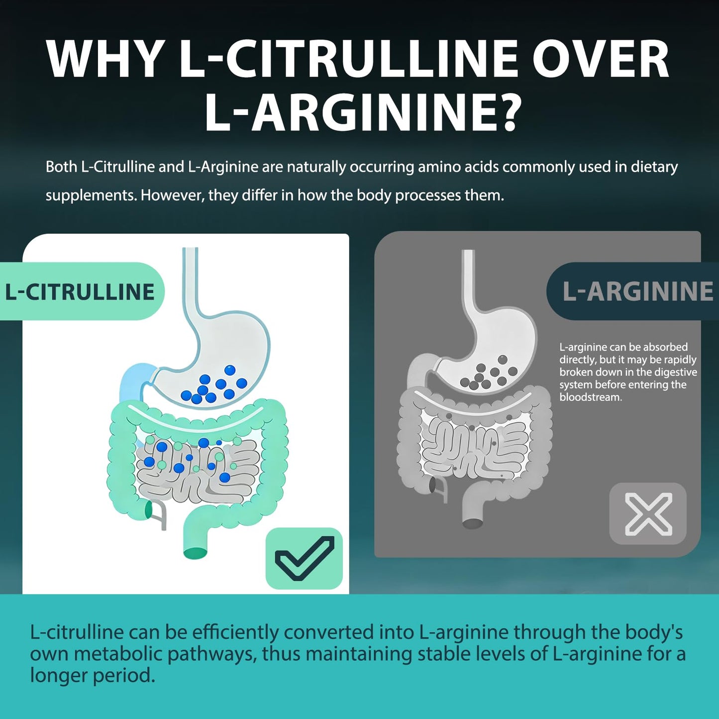 ABYSSUS L Citrulline Gummies 3000mg, 60 Count
