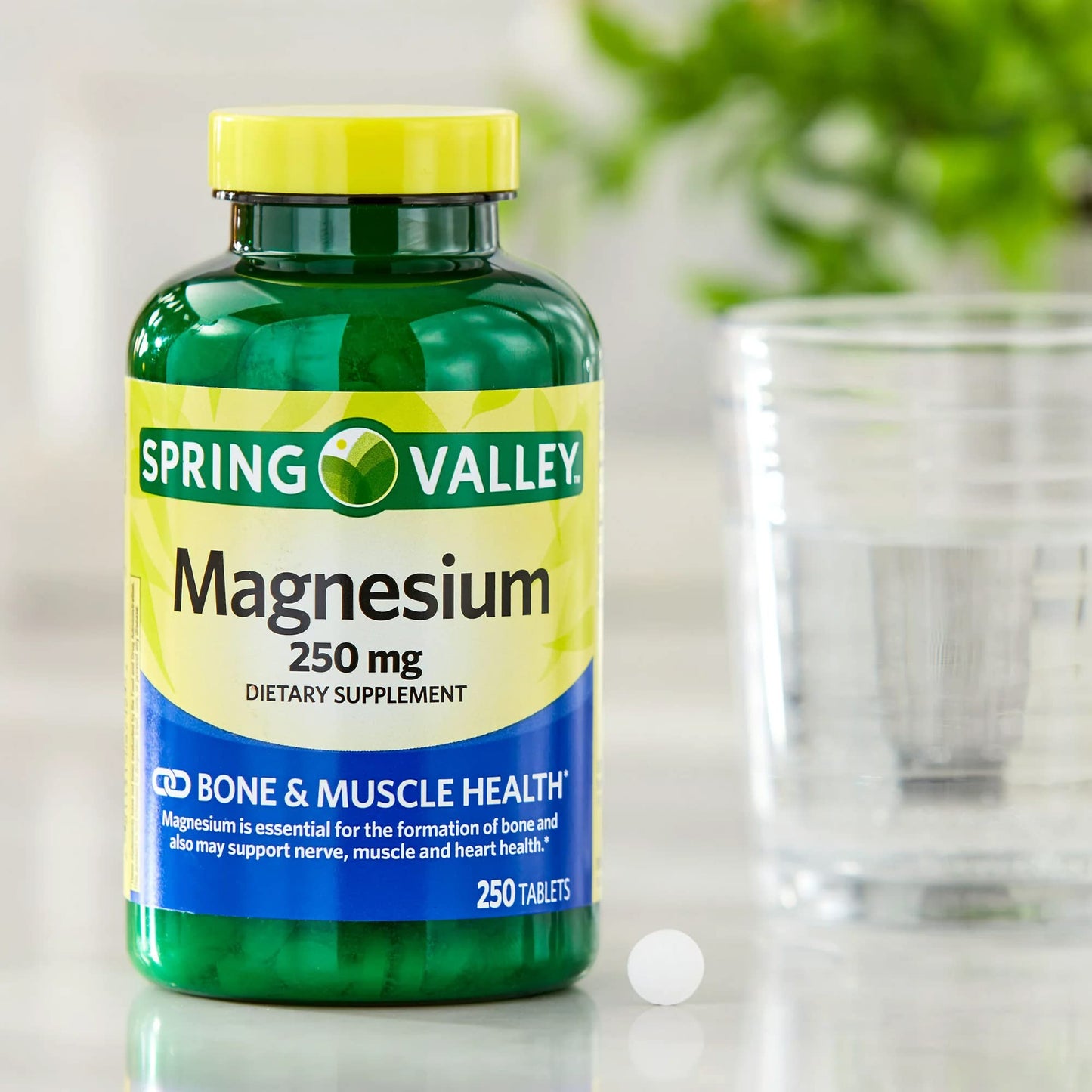 LUAL Magnesium Tablet 250mg, 250 Count