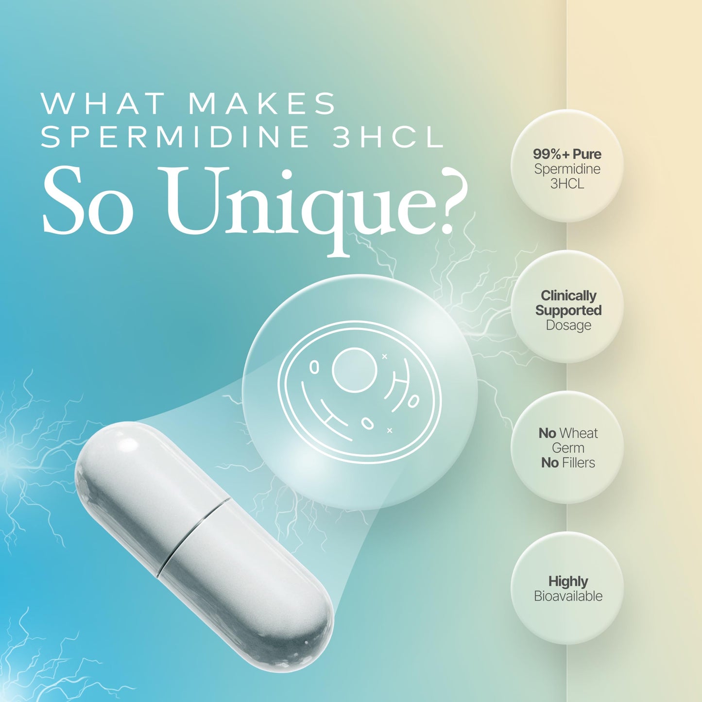Prime Powders Spermidine Capsules Gluten Free, 120 Count