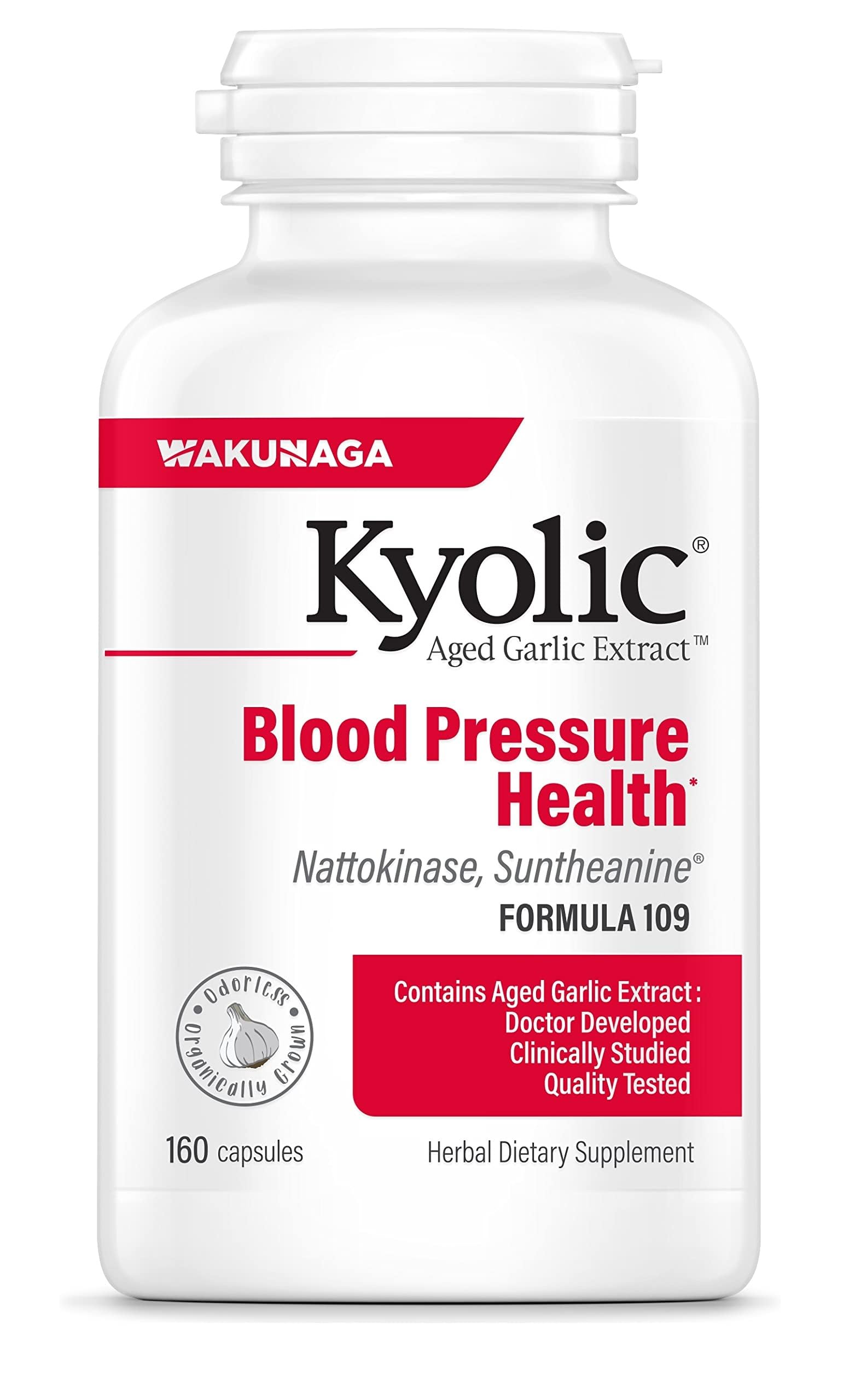 Kyolic Aged Garlic Extract Formula 109 Capsules 160 Count