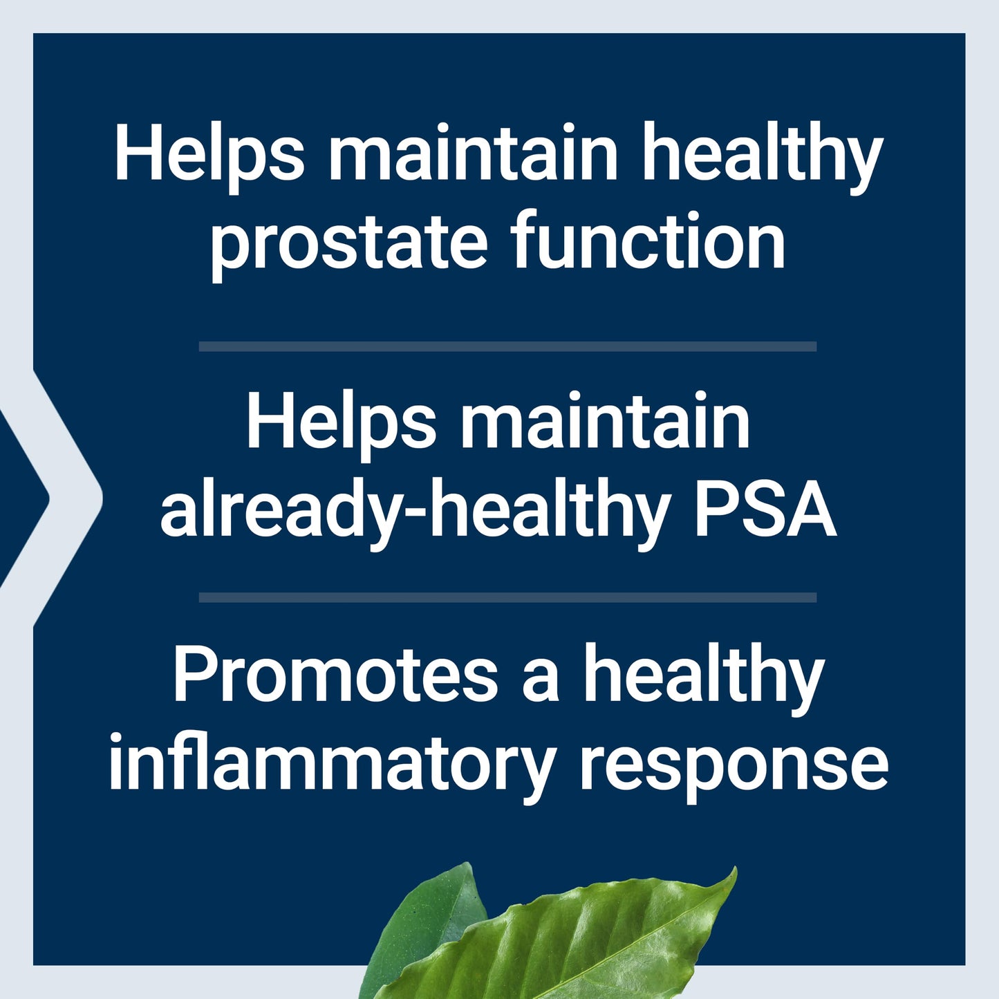 Life Extension Ultra Prostate Formula Softgels 60 Count