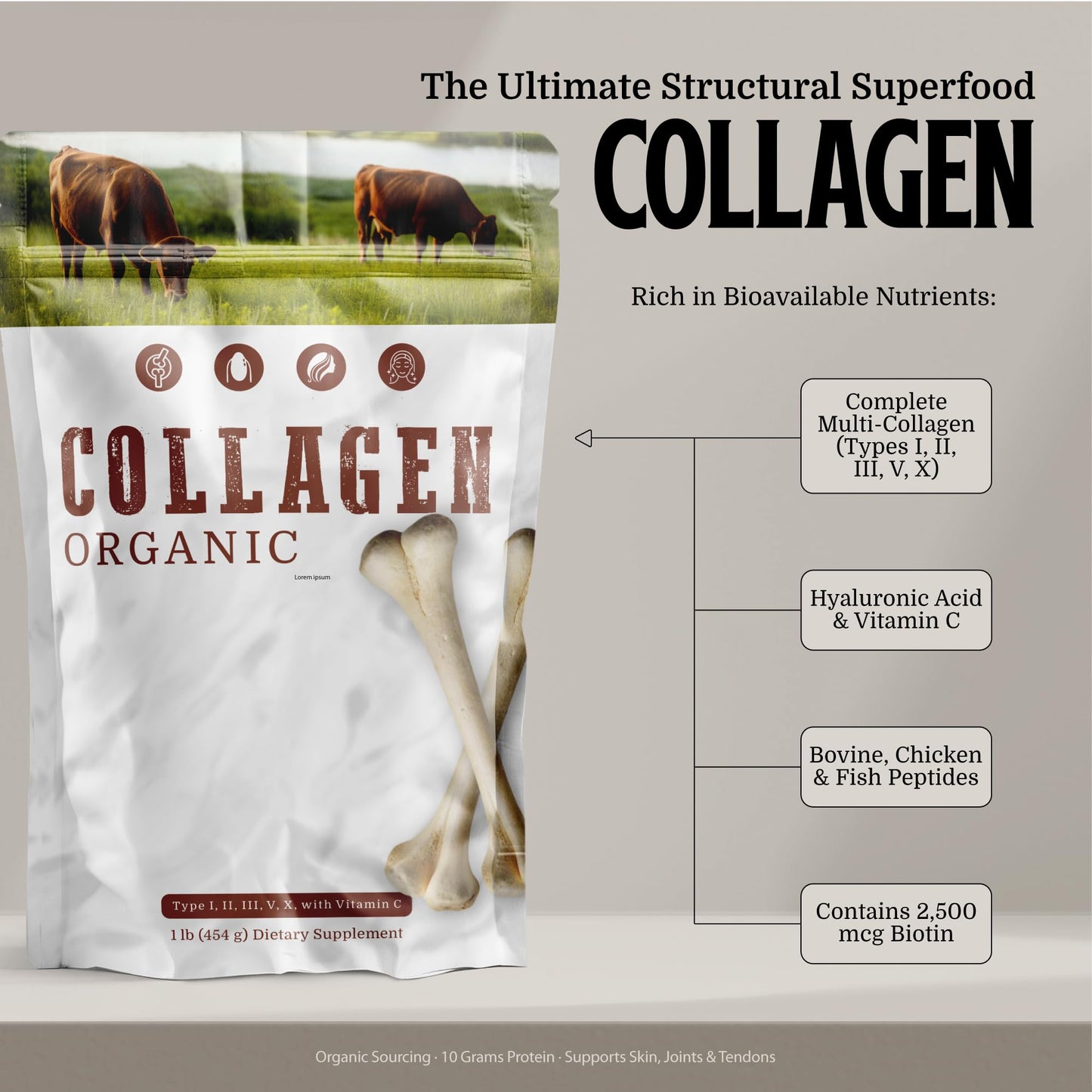 PROVA Suplementos Collagen Peptides Powder 16