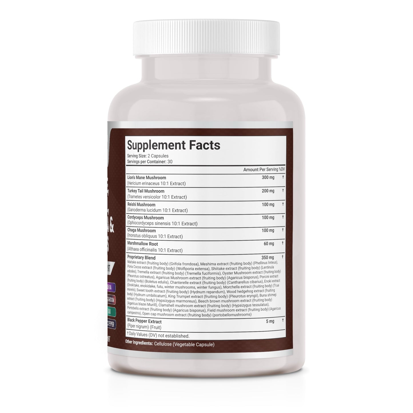 JB Wellness Co Lions Mane Supplement Cognitive Support, Immune Health with Turkey Tail 20in1 Mushroom Reishi Cordyceps Chaga with Marshmallow Root Capsules 120