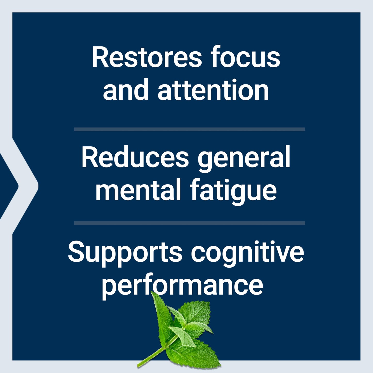 Life Extension Brain Fog Relief Softgels, 30 Count
