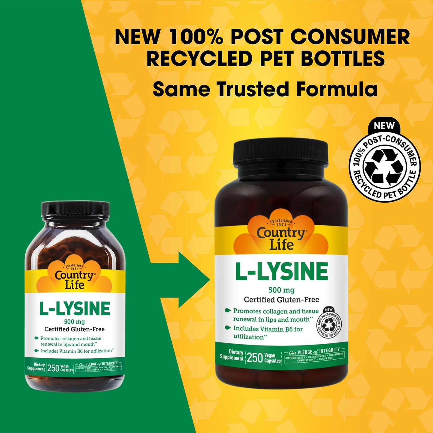 Country Life L-Lysine 500mg with B-6, 250 Vegan Capsules