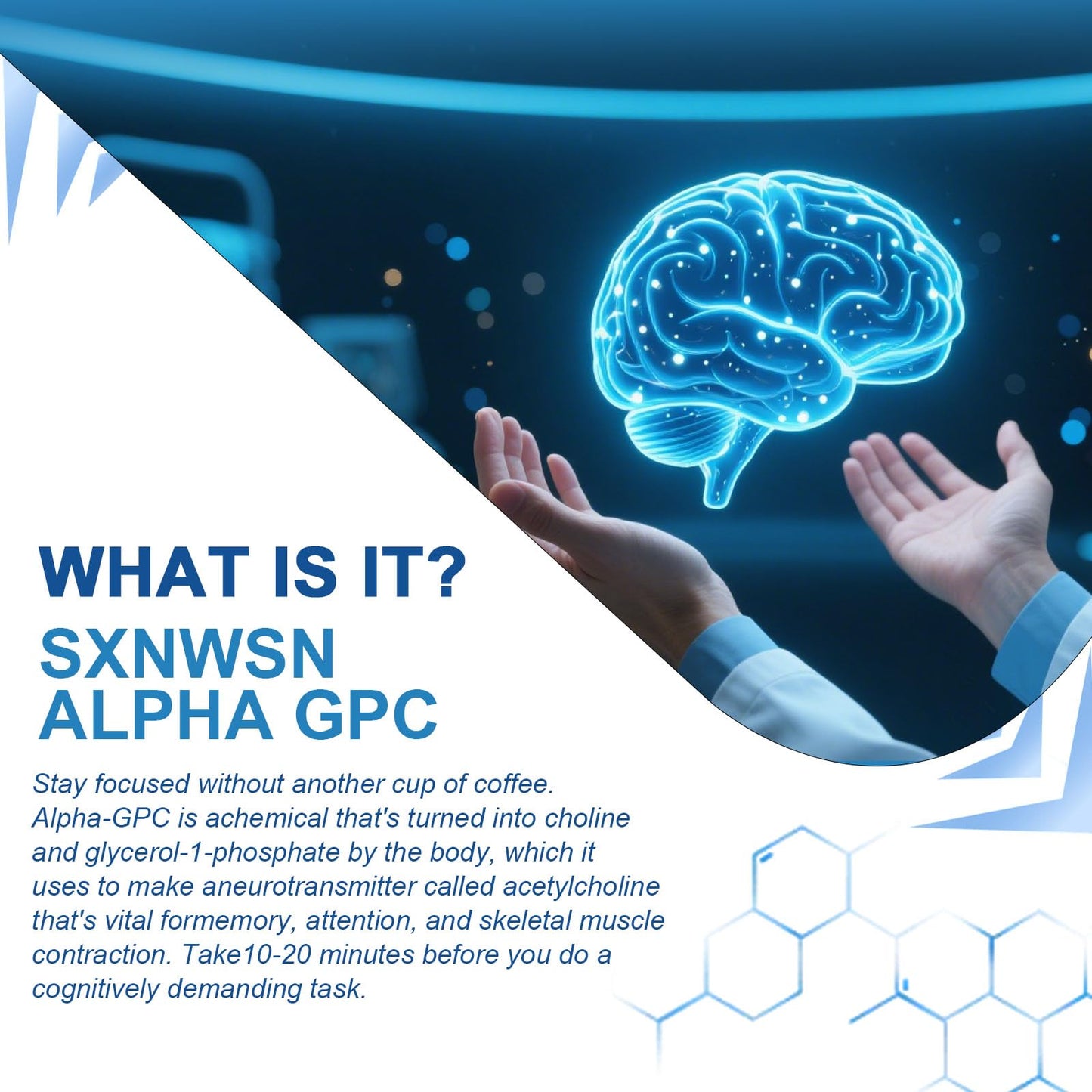 SXNWSN Alpha GPC Cognitive Support 300mg with Bacopa & Ginkgo Biloba, 90 Capsules