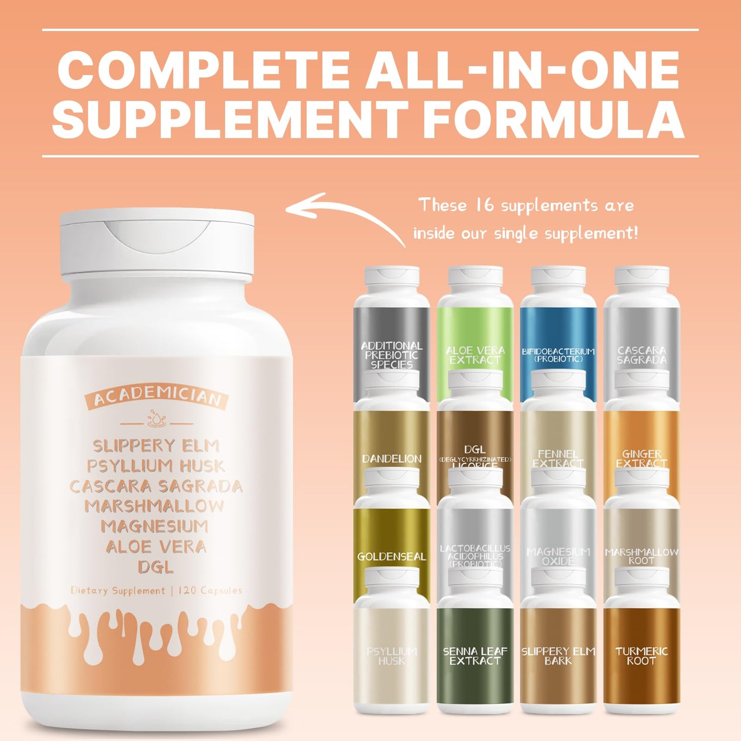 ACADEMICIAN Psyllium Husk Capsules, 120 Count