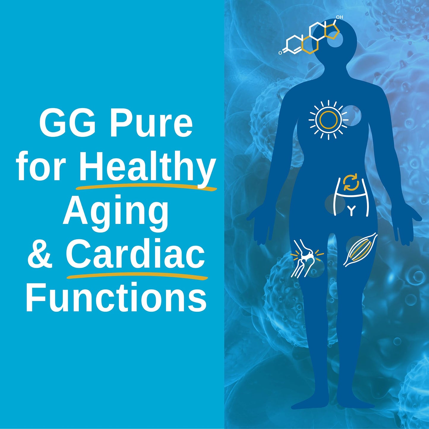 Xtendlife GG Pure Geranylgeraniol Supplement – 150mg GG for CoQ10 Production & Cellular Energy Support – with Annatto-Derived GG for Heart & Muscle Function, Capsules, 30 Capsules