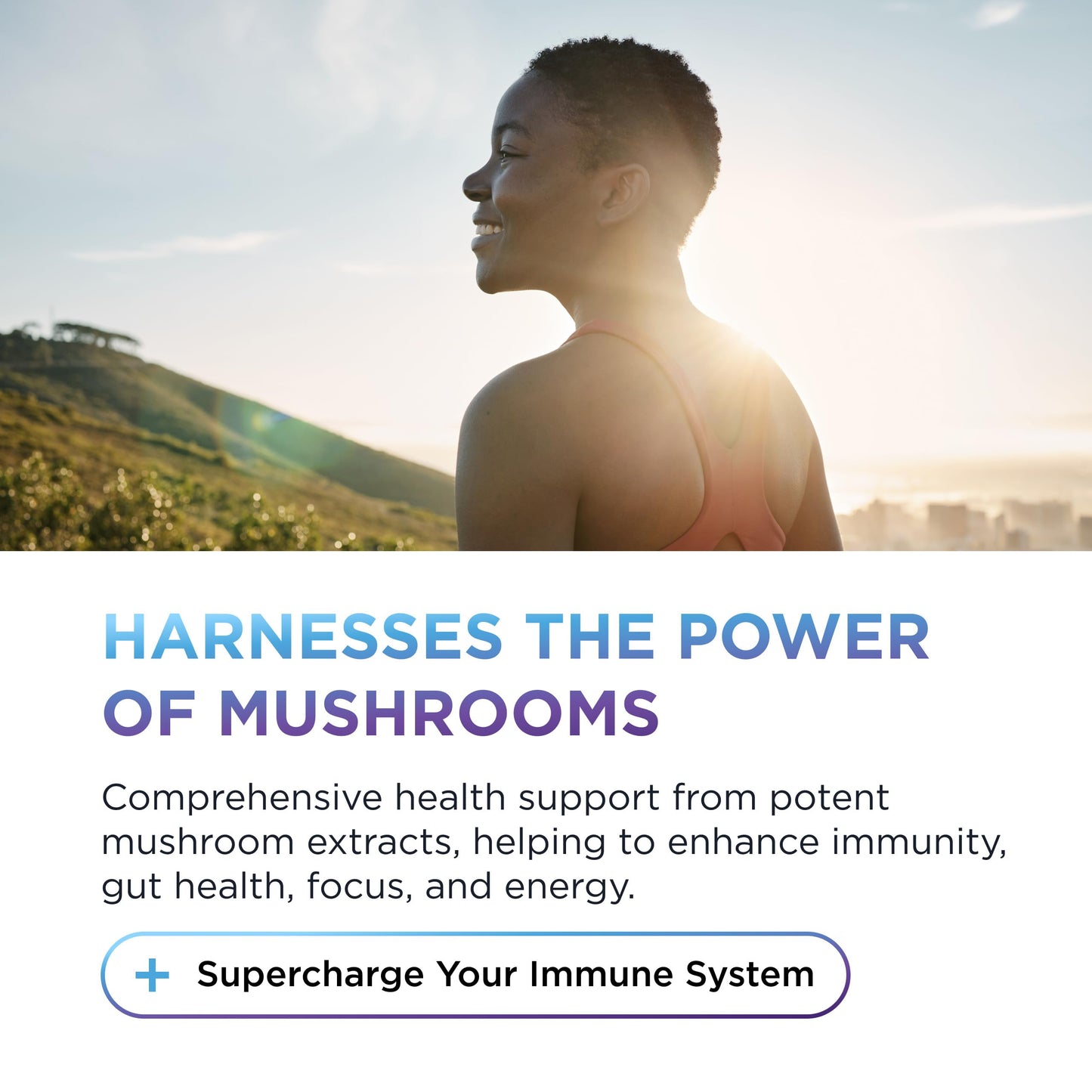 Dr. Emil Nutrition Mushroom Supplement Elite Turkey Tail Mushroom Plus Capsule 2-Pack
