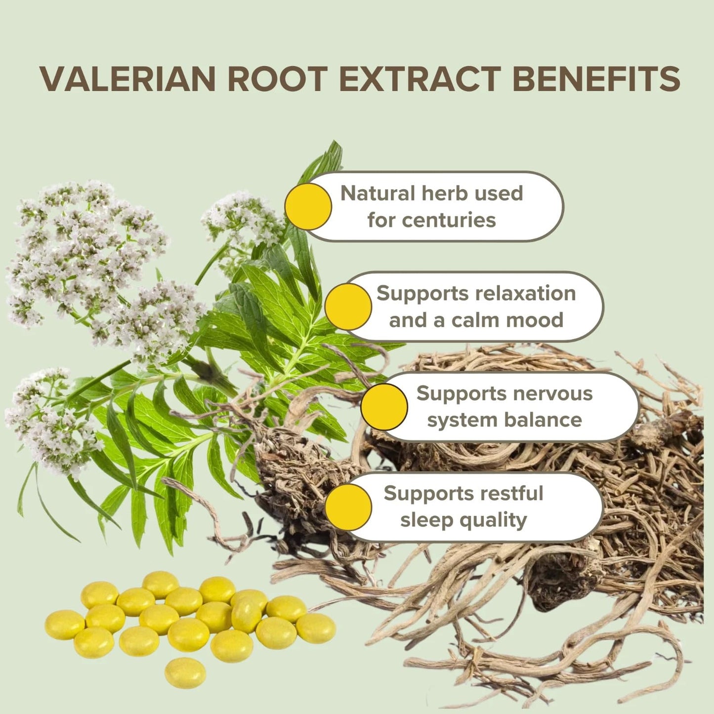 Victoria Bella Valerian Root Extract Tablet, 250 Tablets