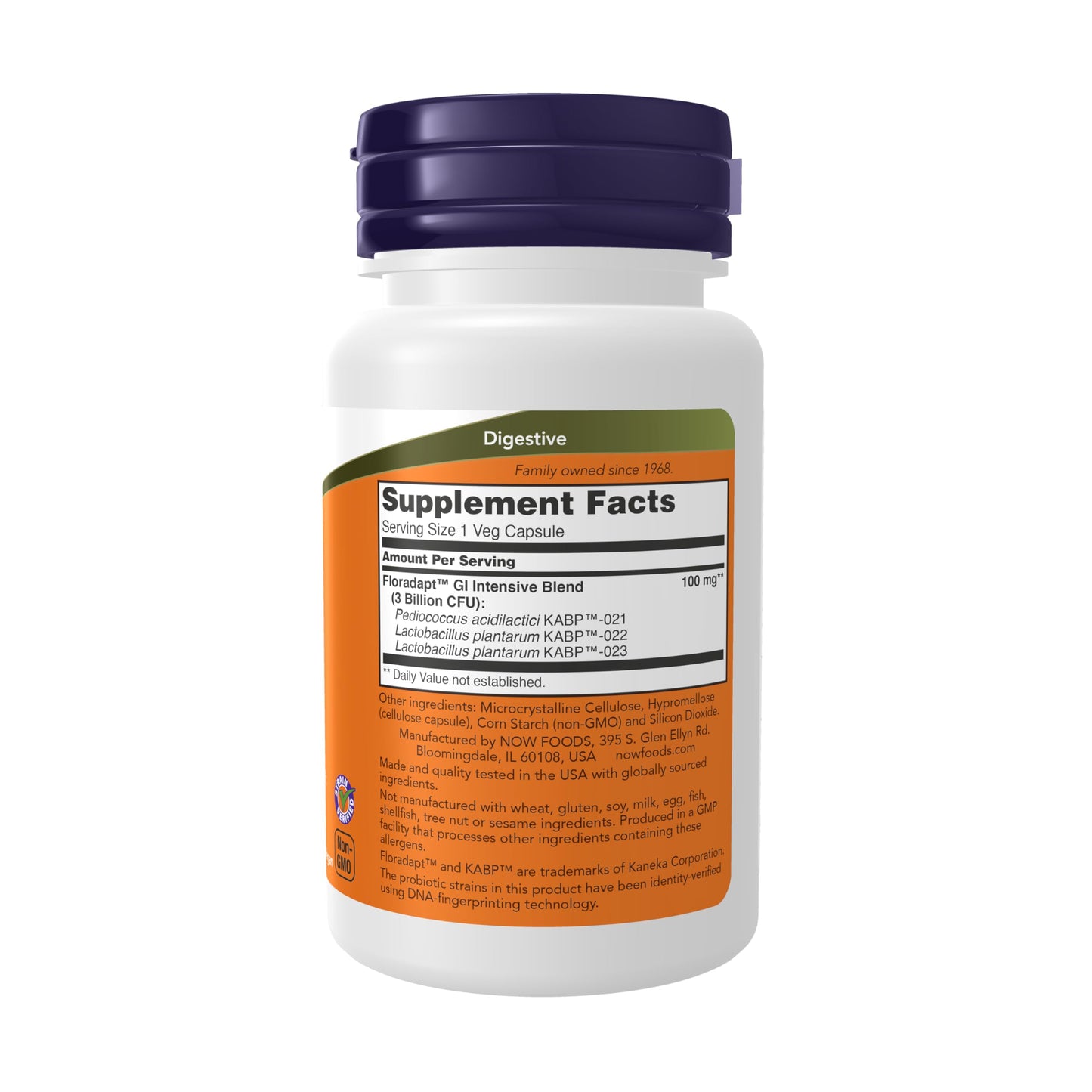 NOW Foods Intestinal Bacteria Support Probiotic Capsule, 60 Capsules
