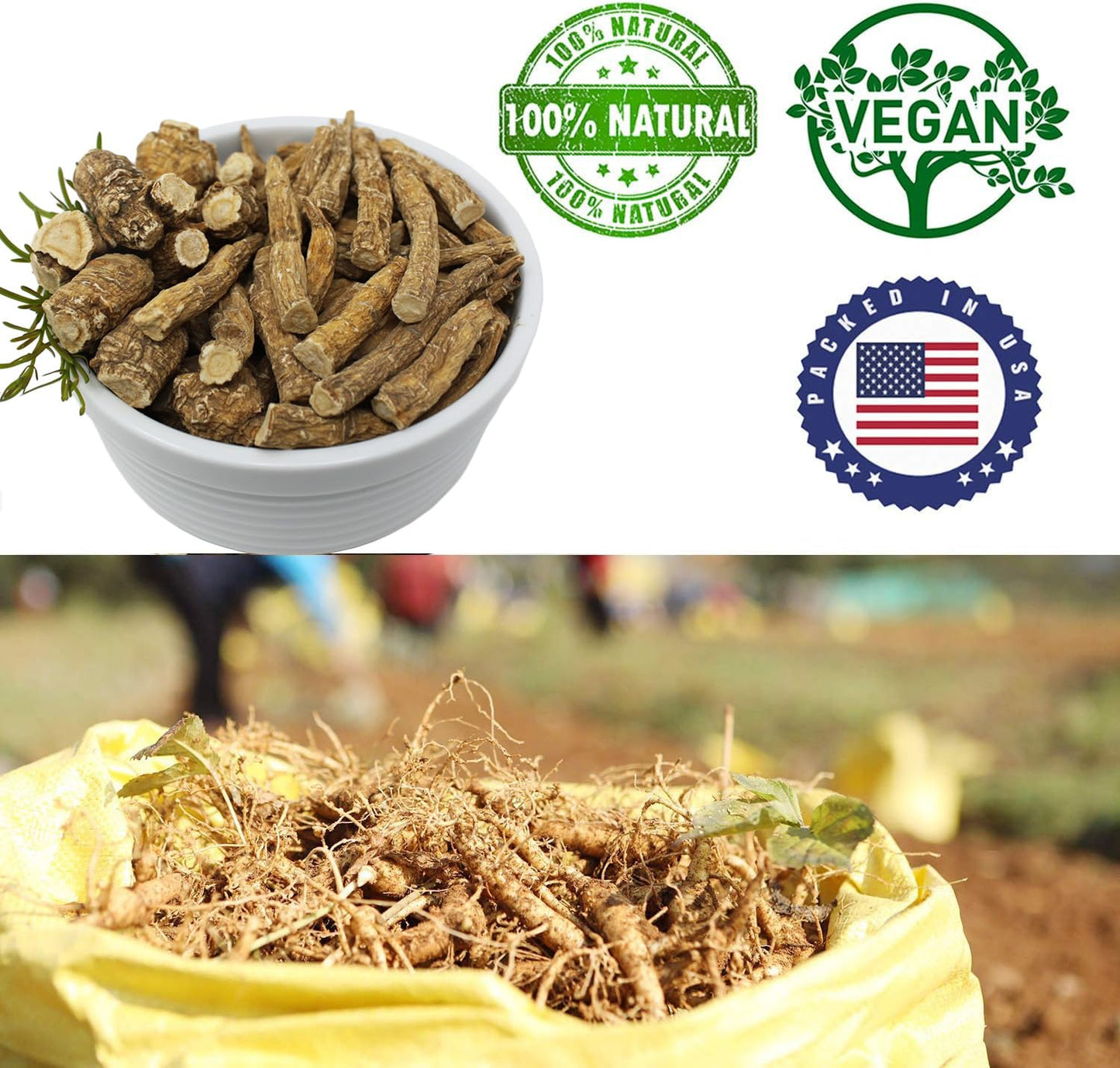 DABC OAK LAND American Ginseng from Wisconsin Tablets 16