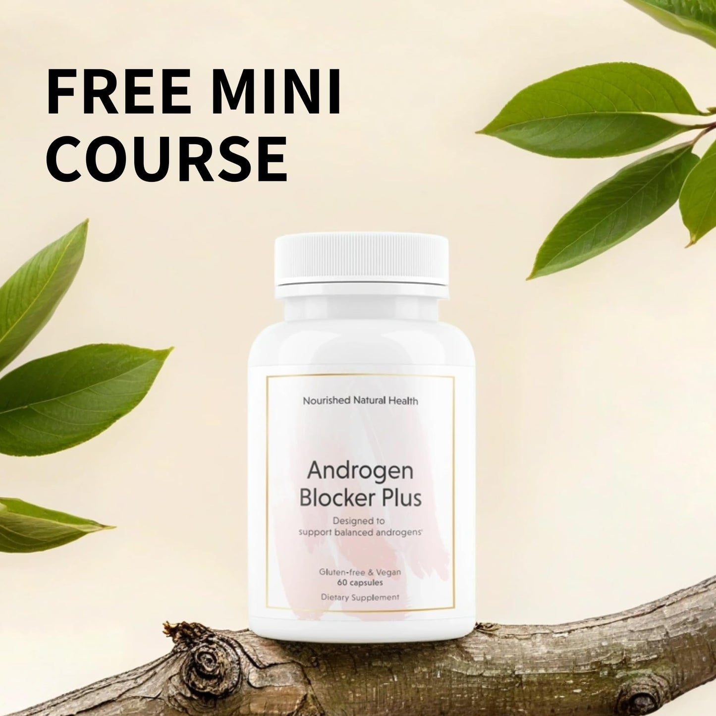Nourished Natural Health AndroEase Plus - Vegan Hormone Balance for Women, 360 Capsules