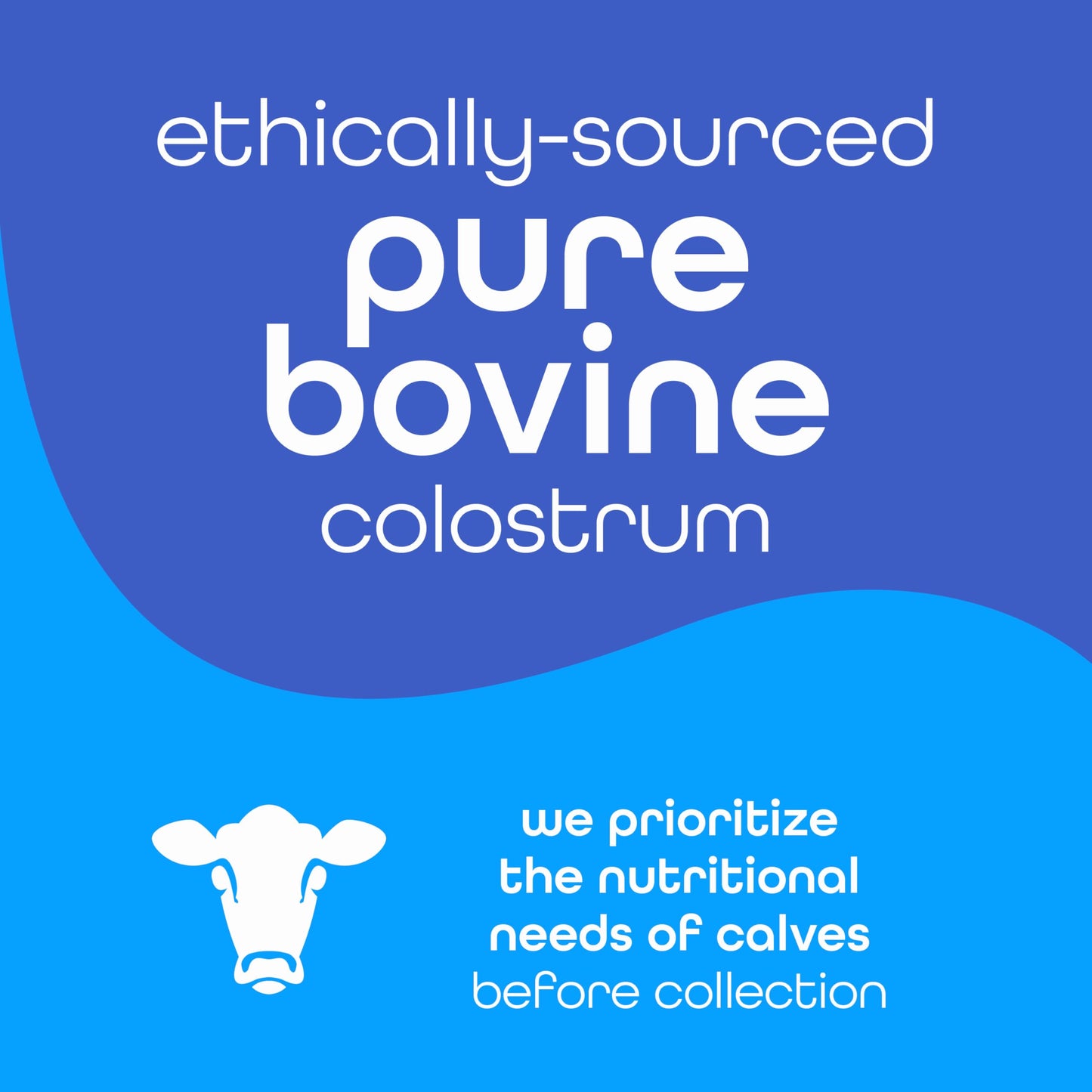 Zena Nutrition Bovine Colostrum Powder 1000mg, 30 Servings