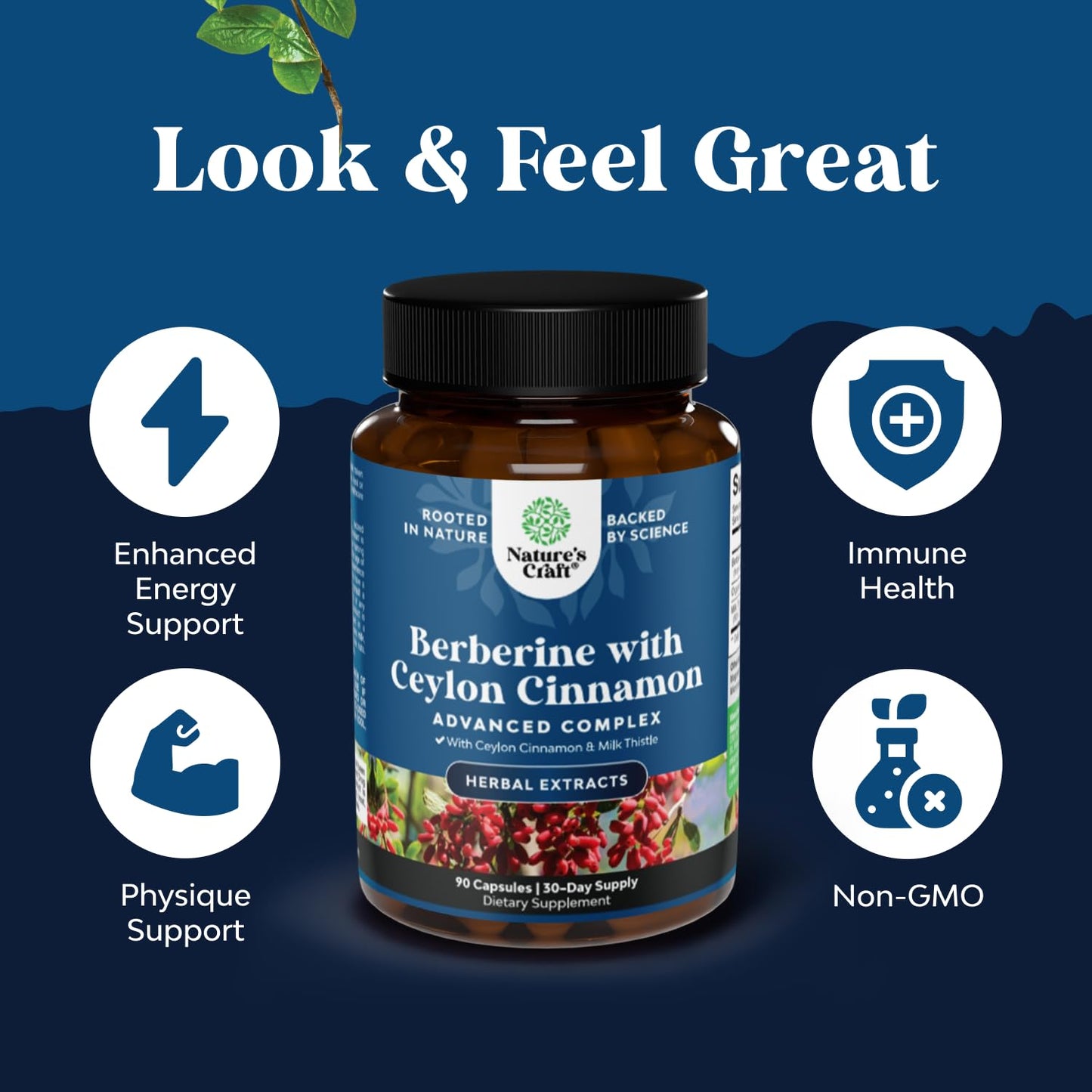 Natures Craft Balancing Berberine Plus 1200mg Per Serving Complex Capsules, 90 Count