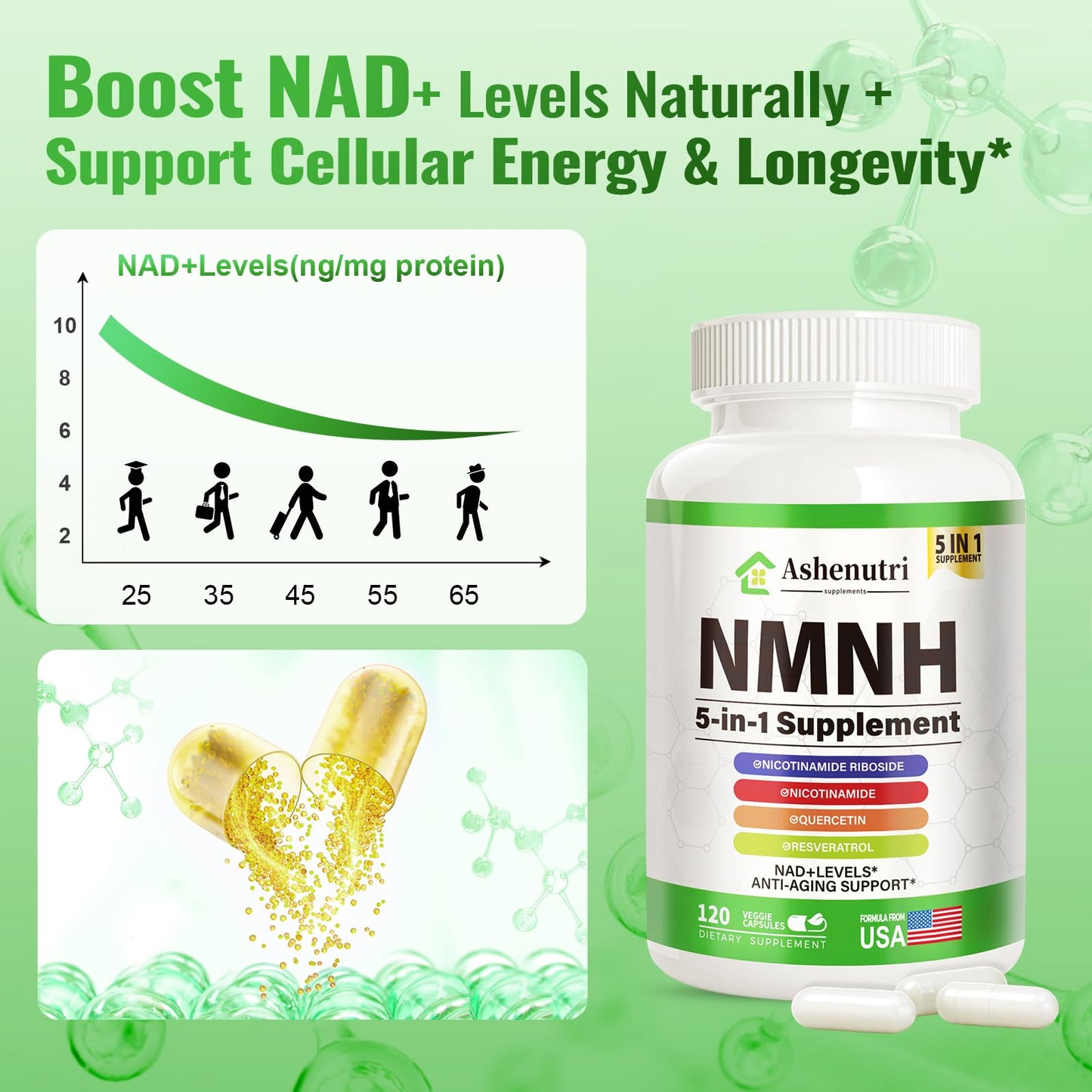 Ashenutri NMNH Supplement (Dihydronicotinamide Mononucleotide), NMN Alternative with Niacinamide (Vitamin B3), Quercetin, Trans-Resveratrol, NAD+ Support, Skin Cell Health, Aging & Energy 120 Capsules