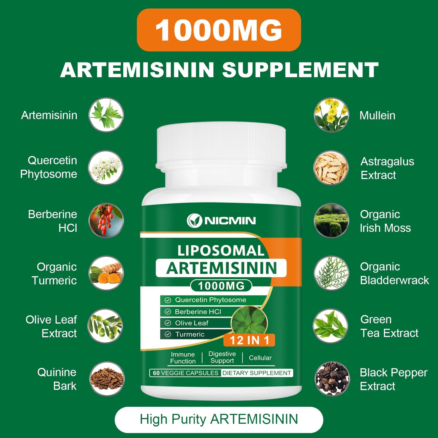 NICMIN Liposomal Artemisinin Supplement 1000mg, Sweet Wormwood Extract with 200mg Quercetin Phytosome, 60 Capsules