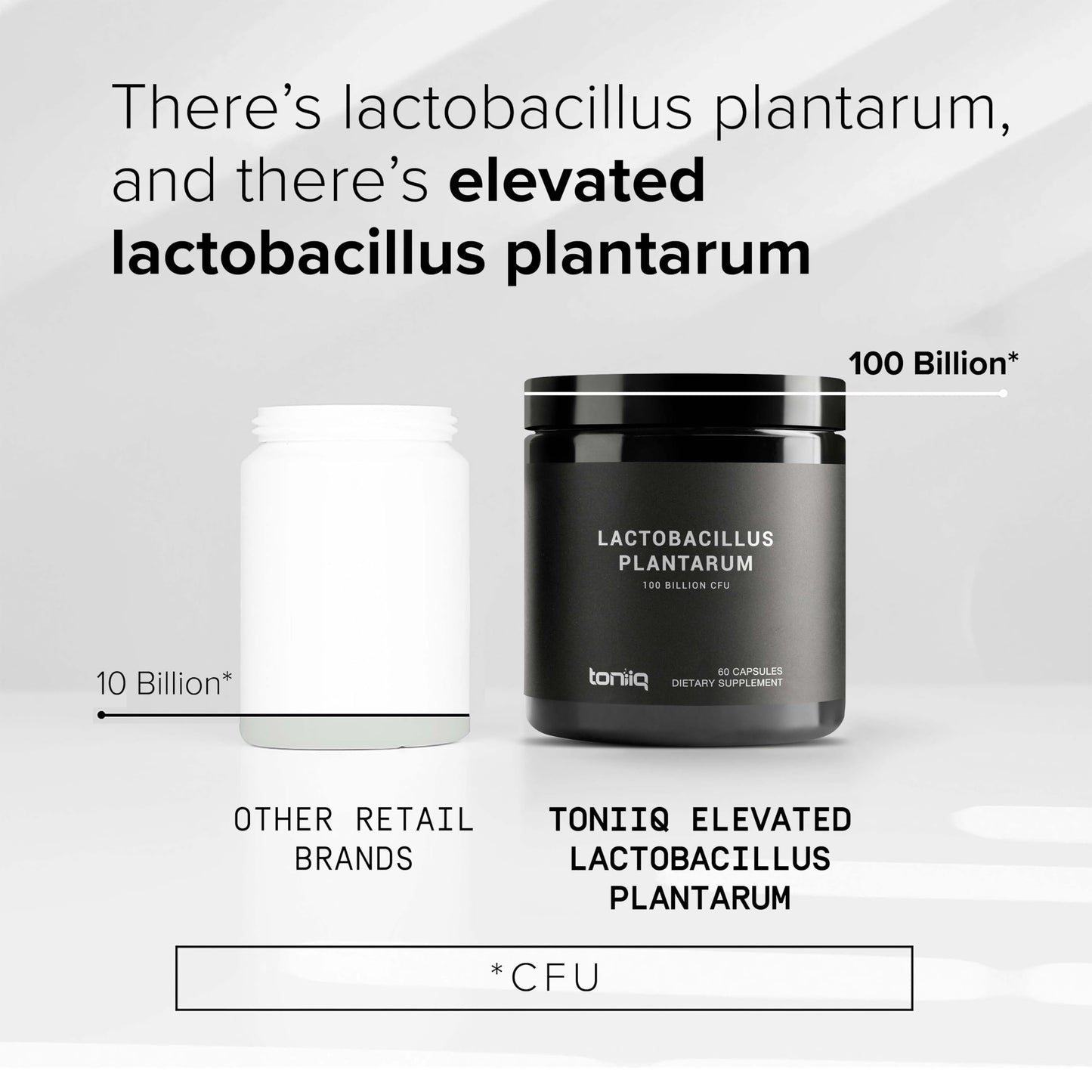 Toniiq Lactobacillus Plantarum - 100 Billion CFU Capsule, 60 Count