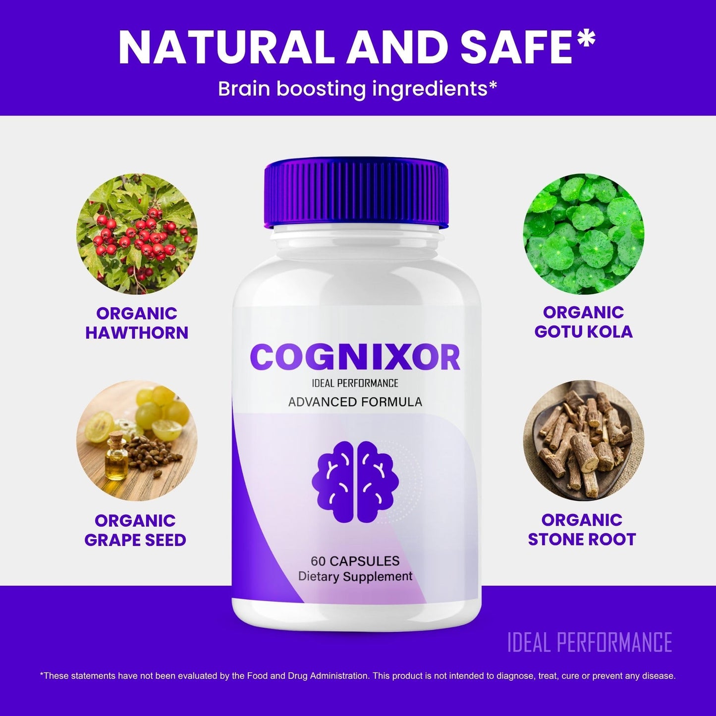 IDEAL PERFORMANCE Cognixor Capsules 120