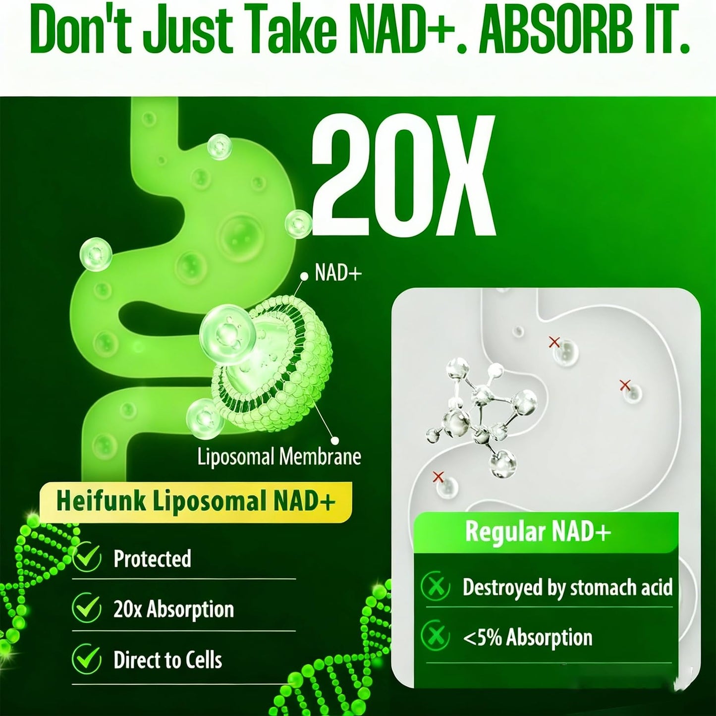 Lumine Organics NAD+ Supplement for Energy Metabolism Support Liposomal Capsules 1 Capsule