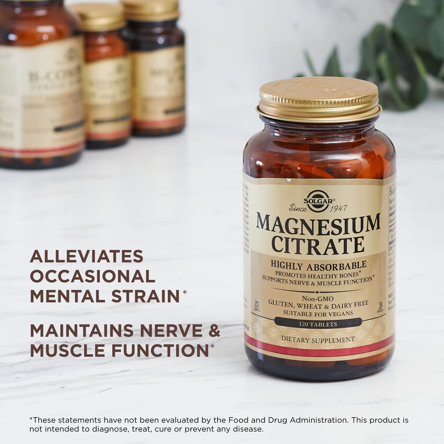 Solgar Magnesium Citrate Tablets 120