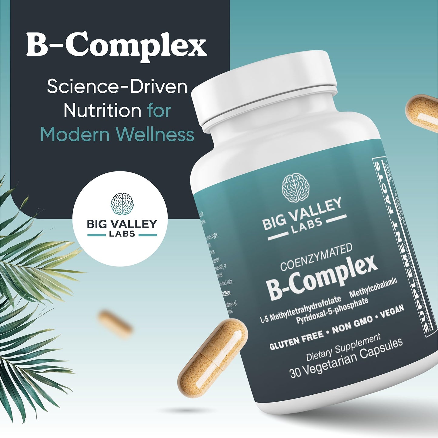 Big Valley Labs Methylated B-Complex Vitamin Capsules – Activated Coenzymated B-Complex with Methyl B12, Methylfolate & P5P – High-Absorption Methyl B Vitamins – Vegan, Non-GMO, 30 Capsules