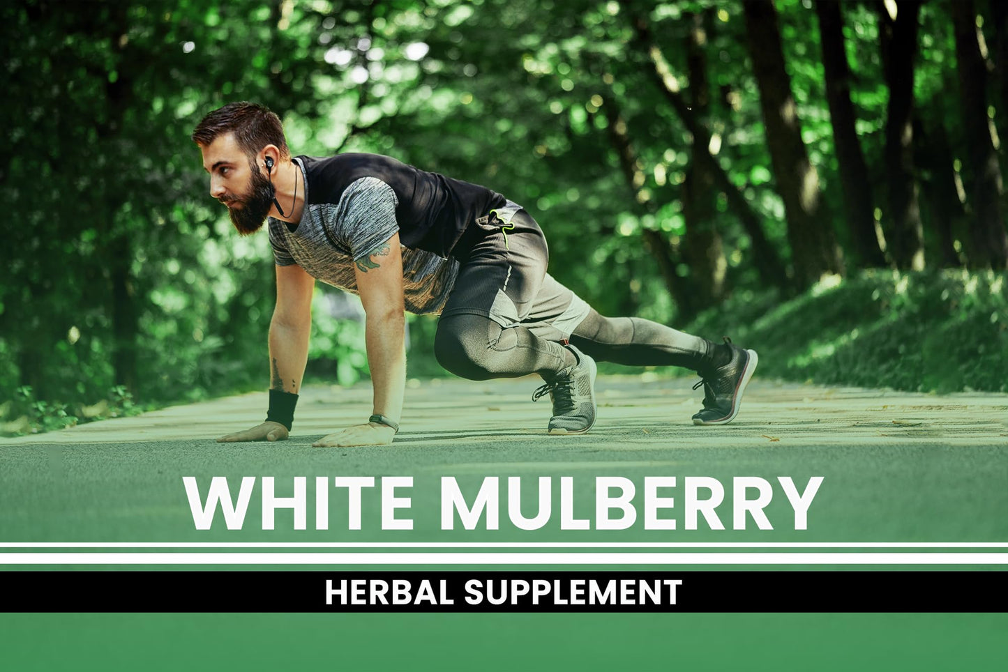 PURE ORIGINAL INGREDIENTS White Mulberry 365 Capsules