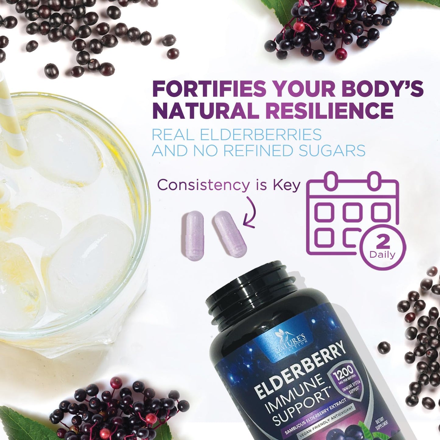 Nature's Nutrition European Elderberry Fruit Extract 1200mg Per Serving Capsules, 120 Capsules