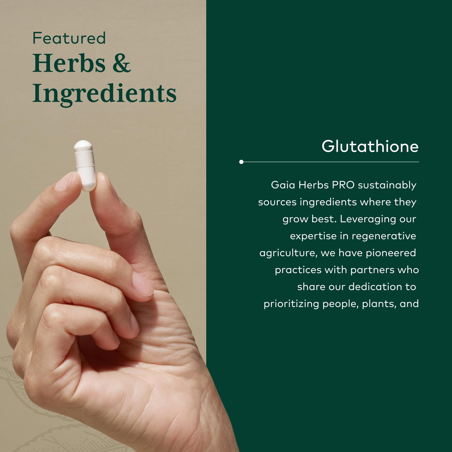 Gaia Herbs PRO Glutathione 500 Capsule, 30 Capsules