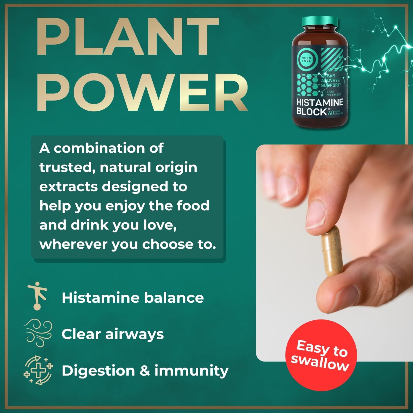 WILD FUEL Histamine Block 10:1 Flavonoids Capsules 60 Count