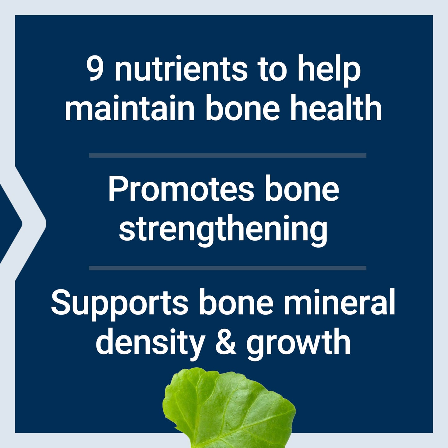 Life Extension Dr. Strum's Intensive Bone Formula Capsules, 300 Capsules
