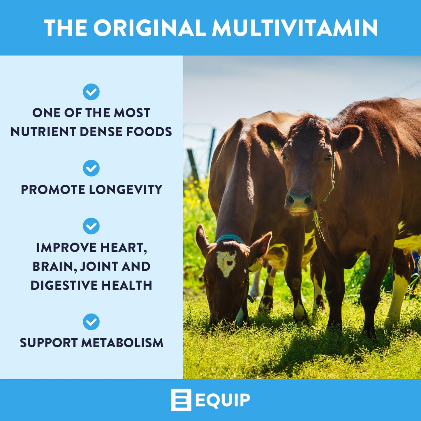 Equip Grass-Fed Beef Liver Desiccated Supplement Capsule 180 Count
