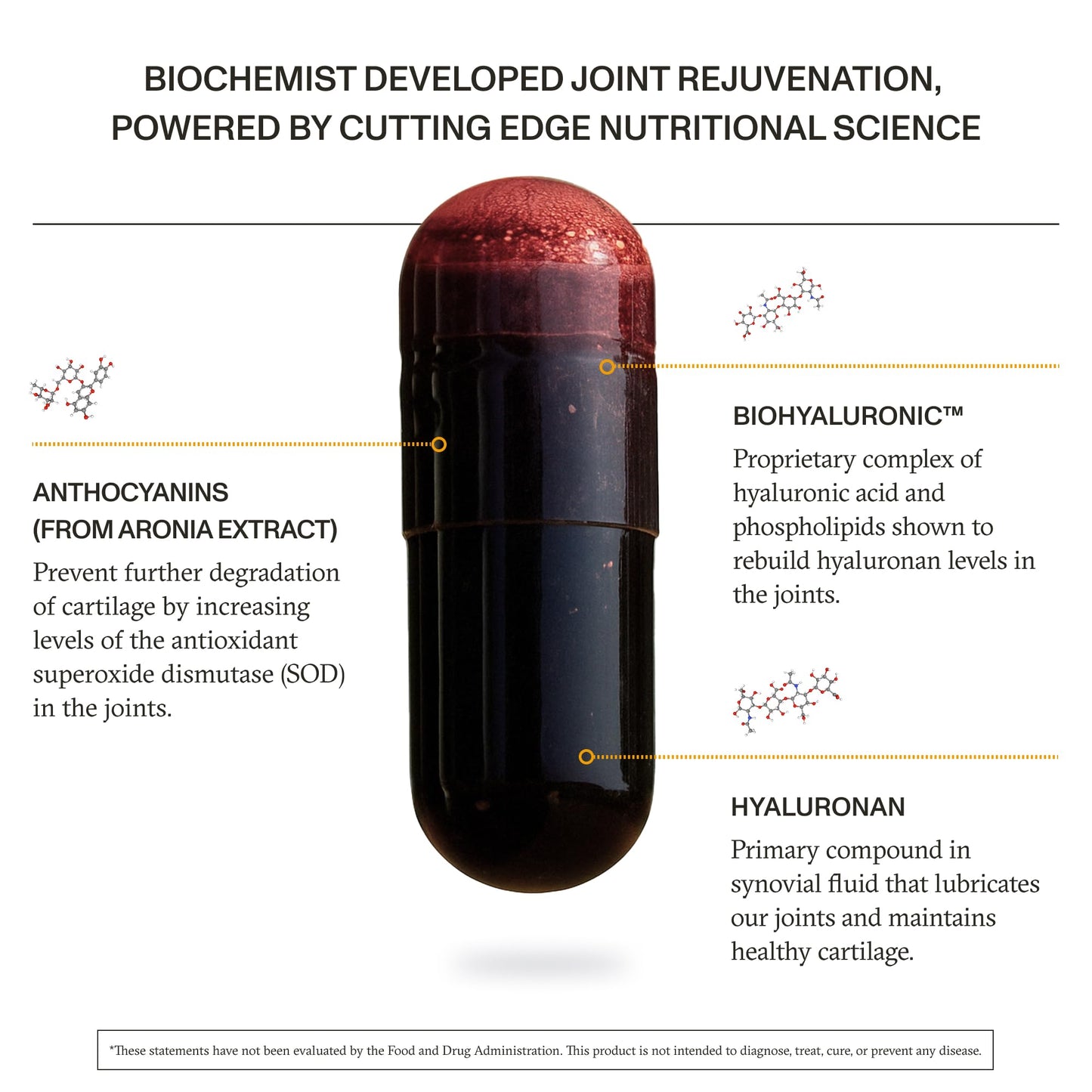Synchro Rejuve Joint Support Supplement Capsule 60 Count
