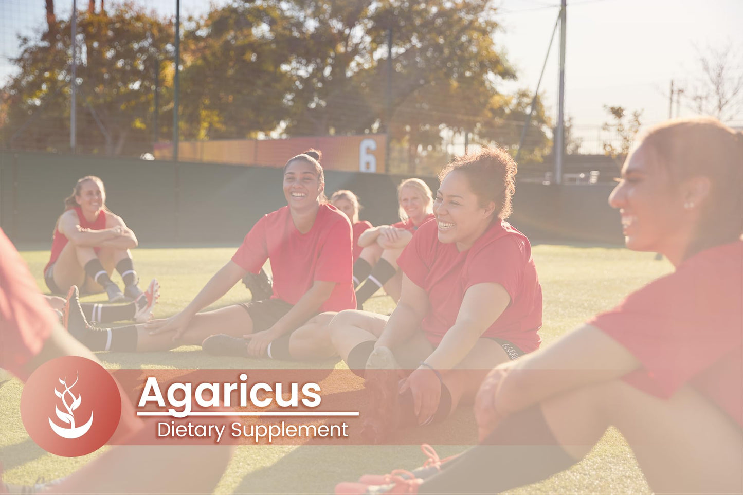 Pure Original Ingredients Agaricus Capsules 100 Count