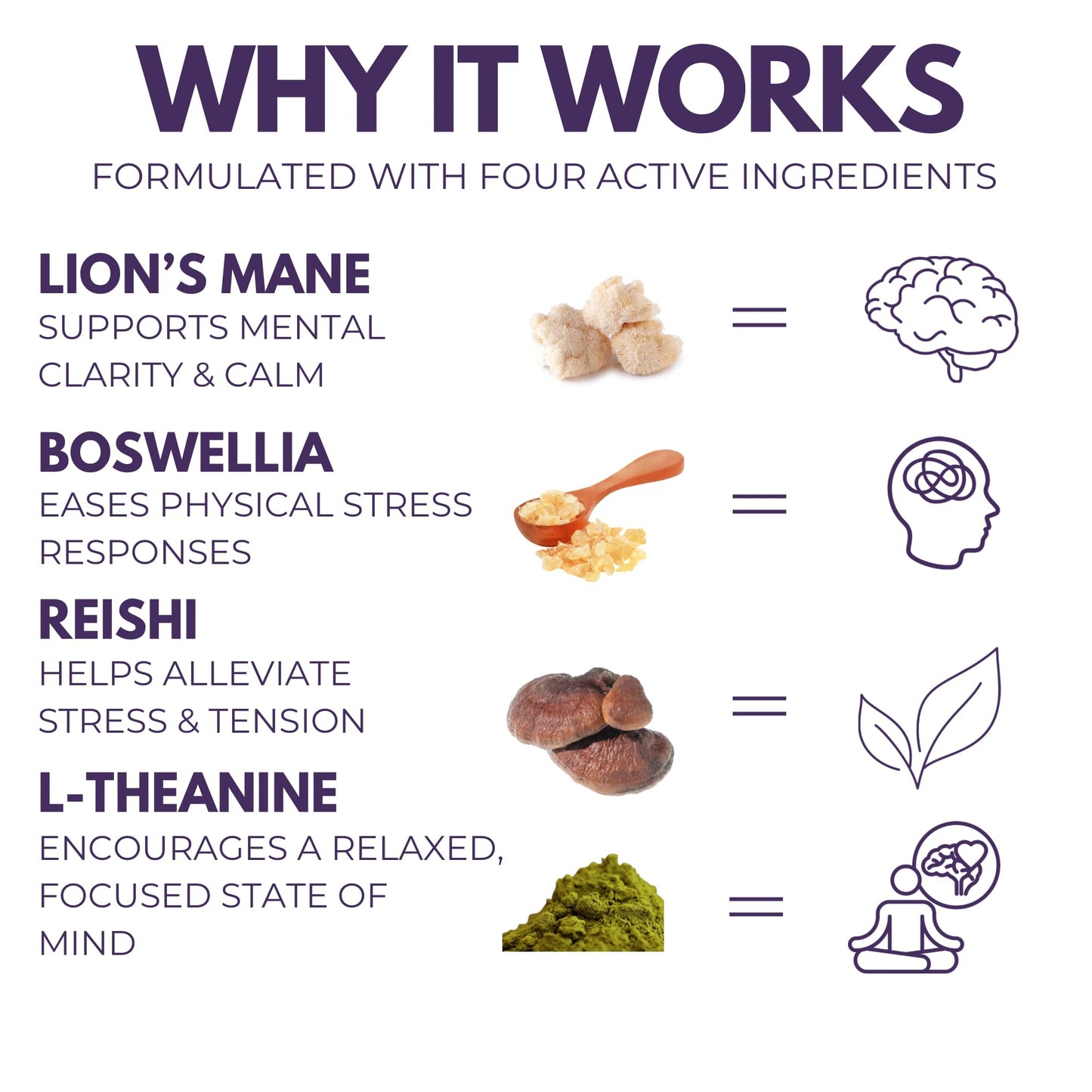 The Mushroom Society Chill Pill Lion’s Mane, Reishi, L-Theanine & Boswellia Extract Blend 120 Capsules