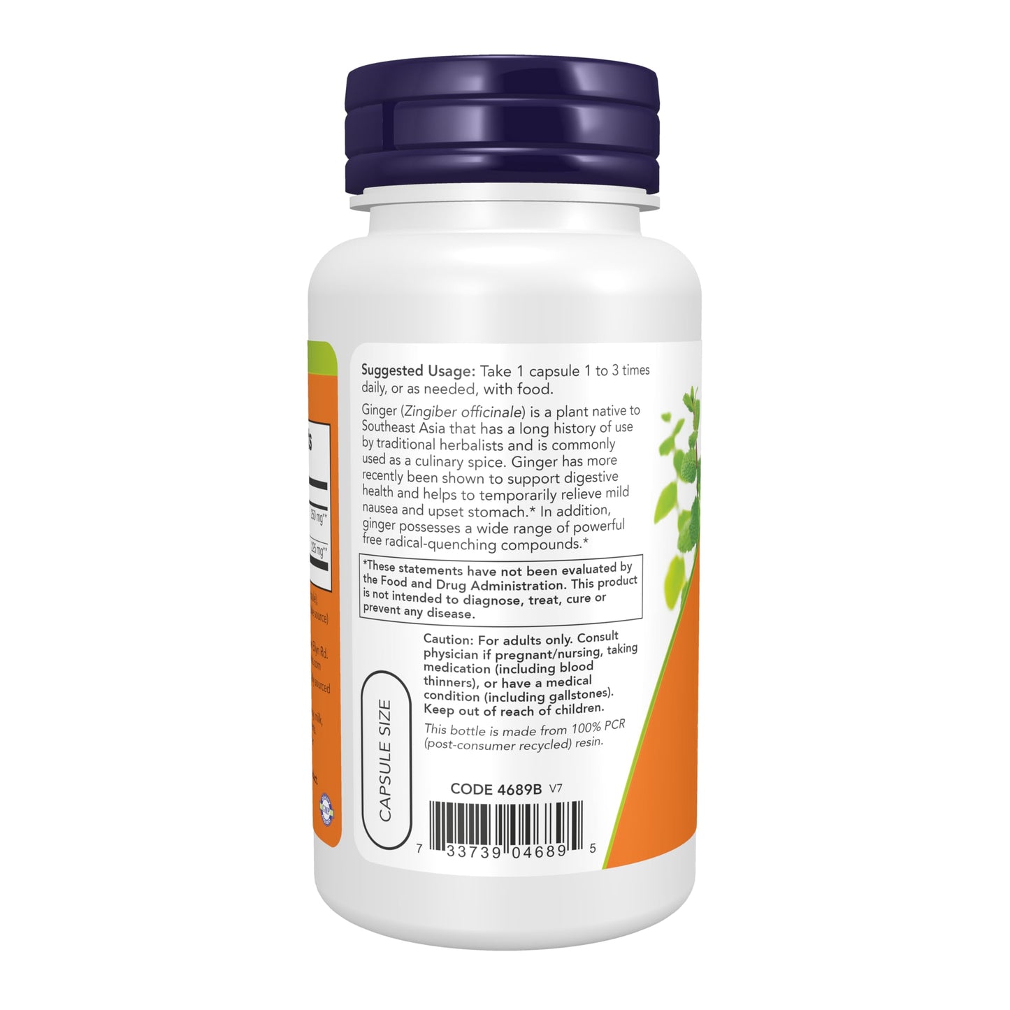 NOW Foods Ginger Root Extract 250 mg Capsules, 90 Count