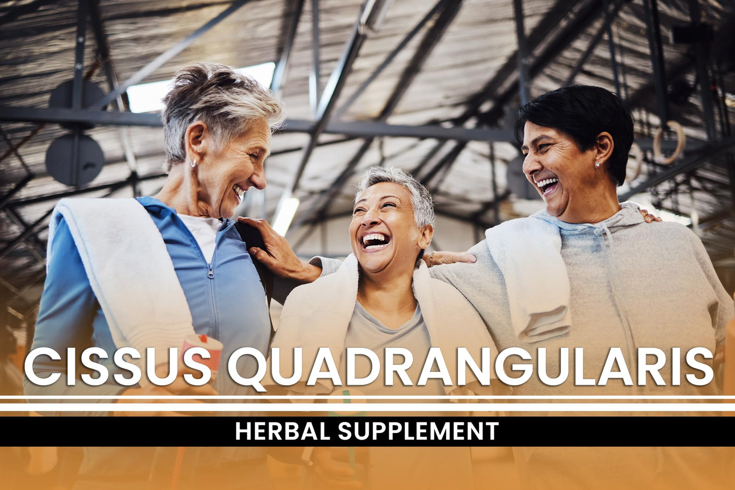 PURE ORIGINAL INGREDIENTS Cissus Quadrangularis Capsules 365 Count