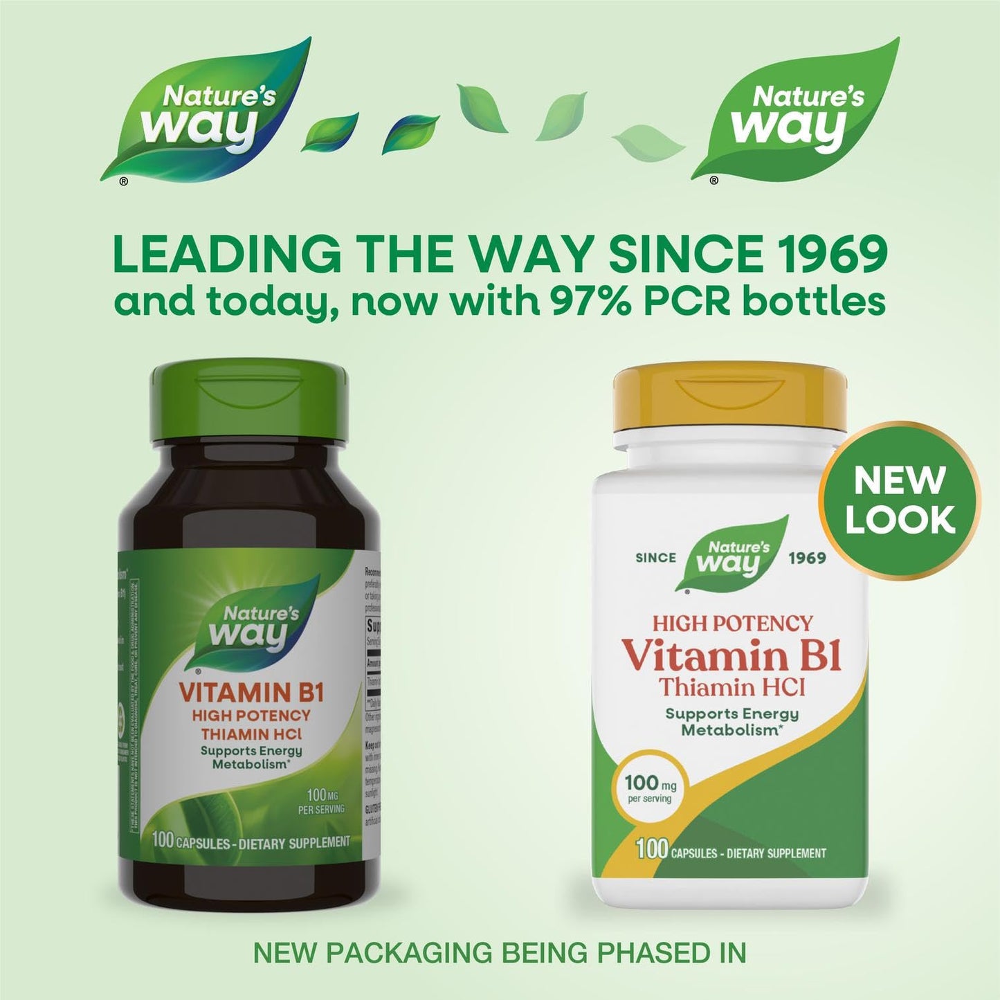 Nature's Way Vitamin B1 Capsules 100