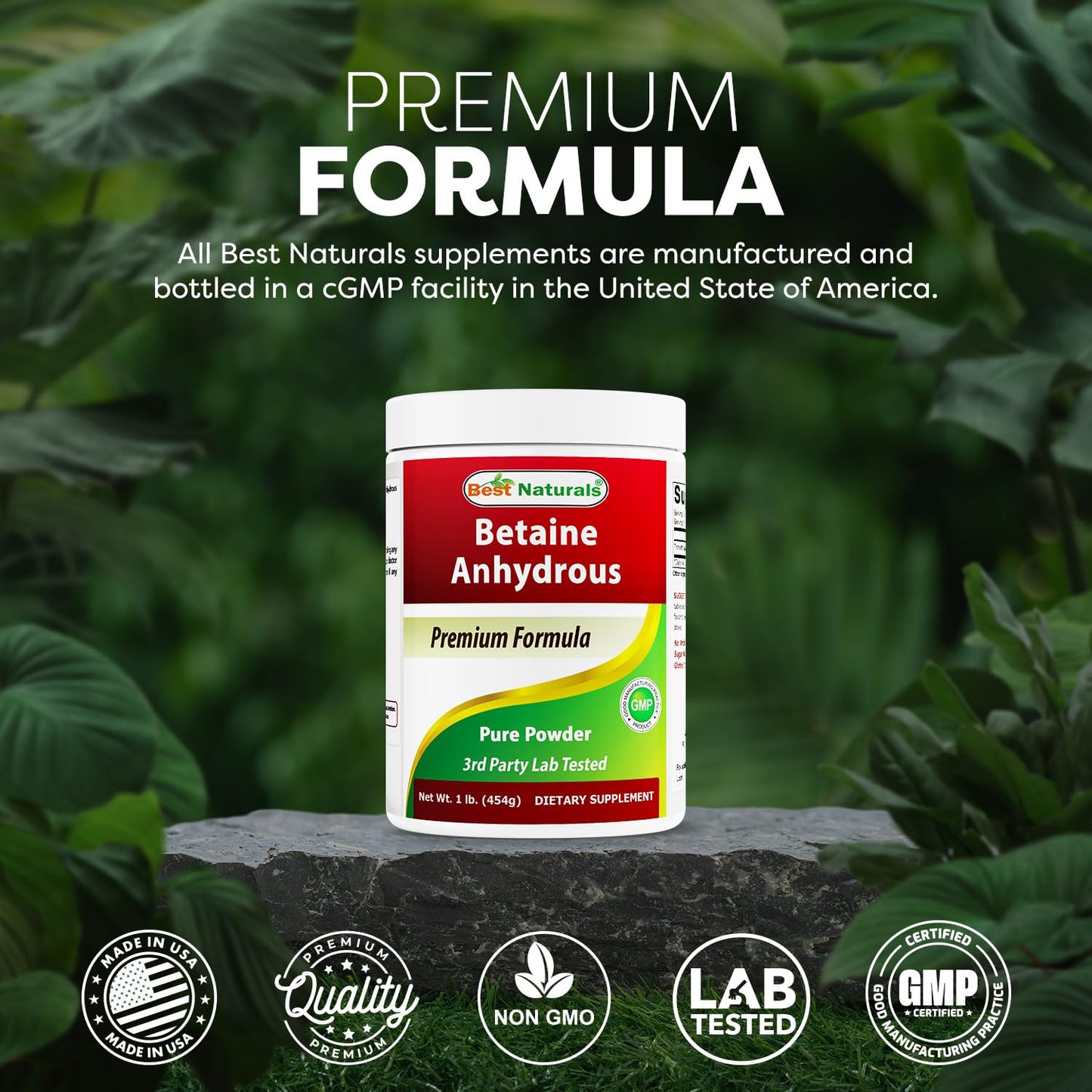 Best Naturals Betaine Anhydrous Trimethylglycine (TMG) Pure Powder, 48