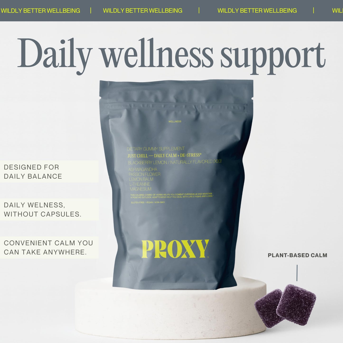 PROXY Just Chill Stress Relief Gummies 30 Count