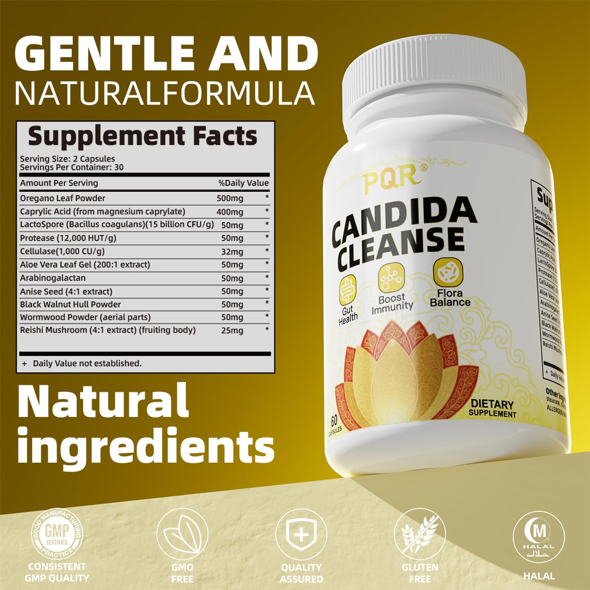 PQR Candida Cleanse - Gut & Colon Support, Natural Herbal Formula, Include Oregano Leaf, Wormwood, Black Walnut, Caprylic Acid-1, 120 Capsules