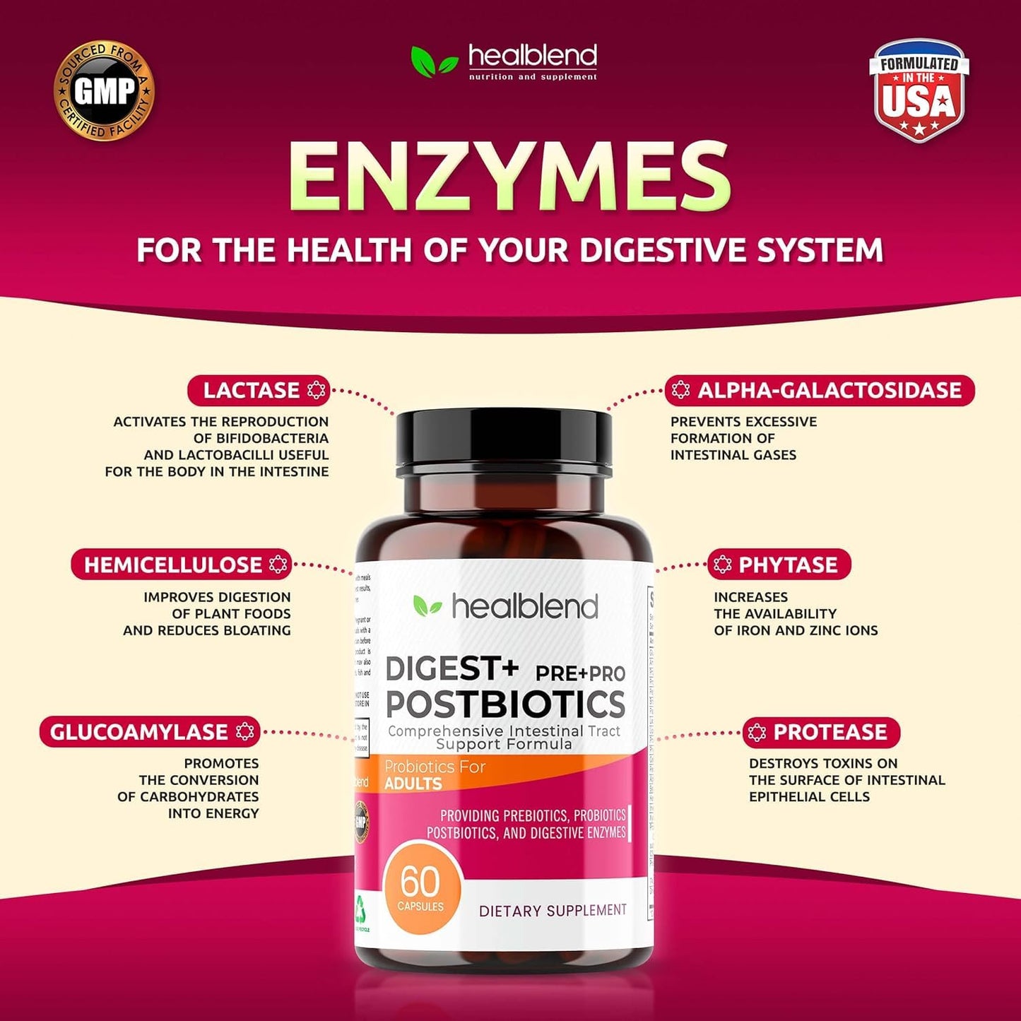 Healblend Digest + Postbiotics Supplement for Women and Men, Multi Enzymes, Organic Prebiotic & Probiotic for Digestive Health with Bromeline, Papin and Lipase, 60 Capsules