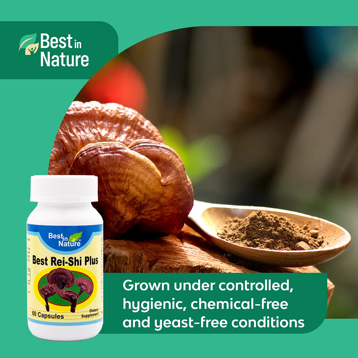 Best in Nature Rei-Shi Plus Premium Organic Rei-Shi Mushroom Extract Capsules, 1 Count
