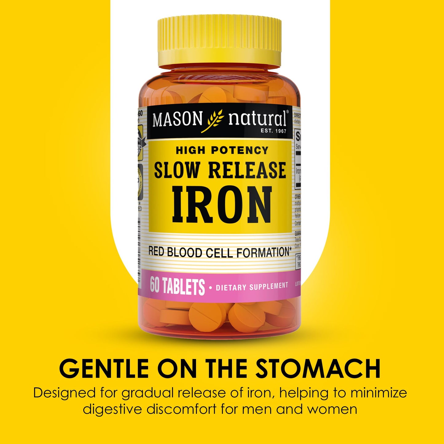 Mason Natural Slow Release Iron (Ferrous Sulfate) 50 mg Tablets, 180 Count