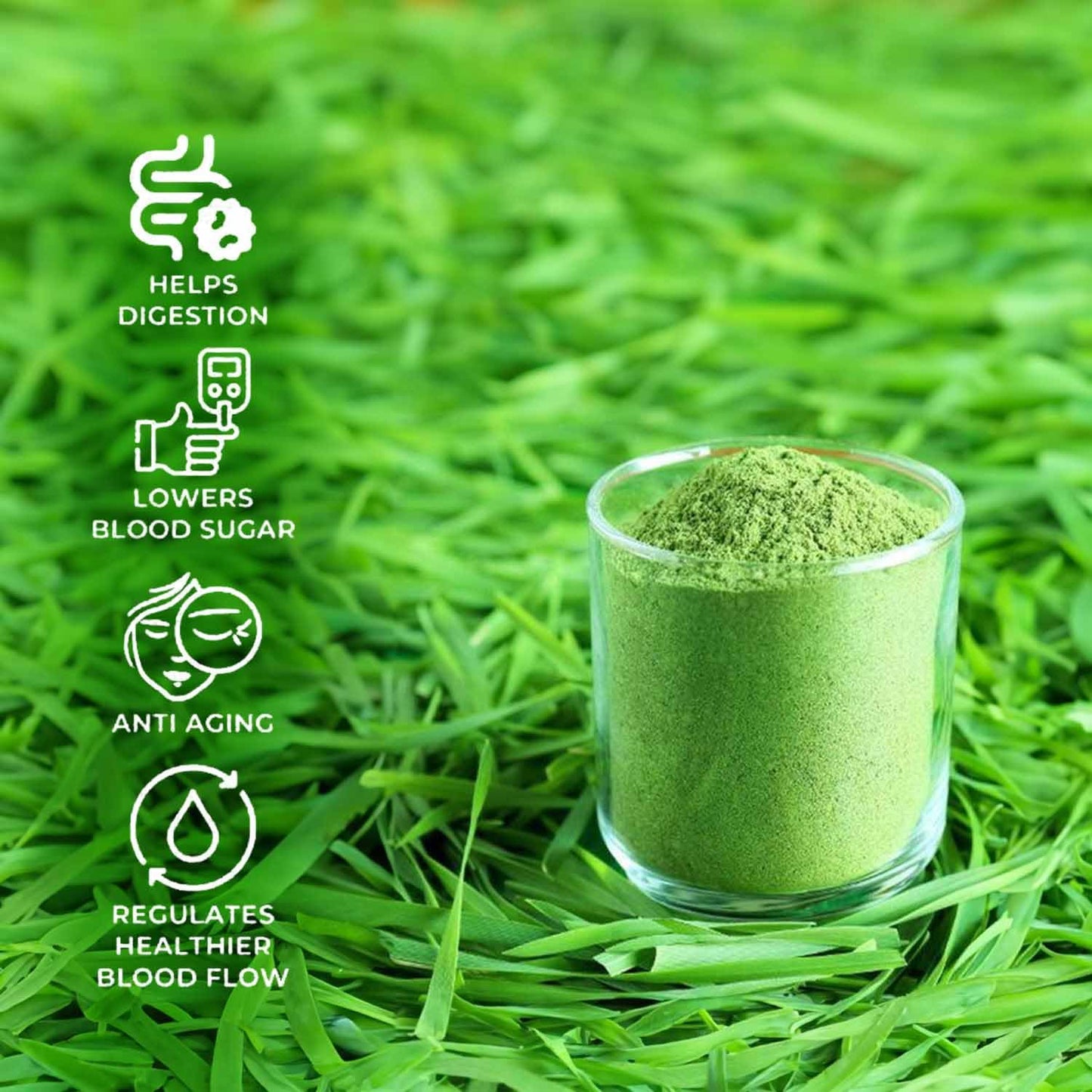 SAPTAMVEDA Organic Wheat Grass Powder, 8.81 Ounce