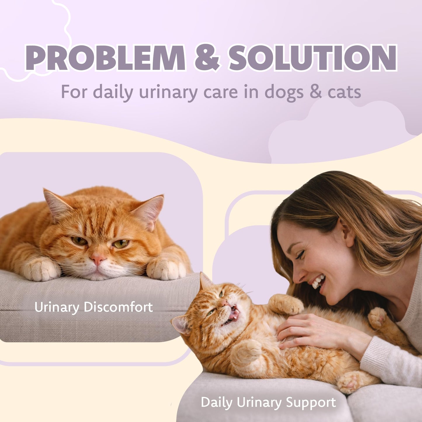 LOVITA Urinary Tract Support for Dogs & Cats Capsule, 60 Capsules