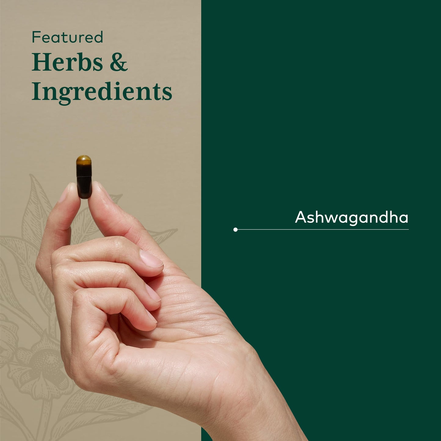 Gaia Herbs PRO Ashwagandha 700 Capsules 120