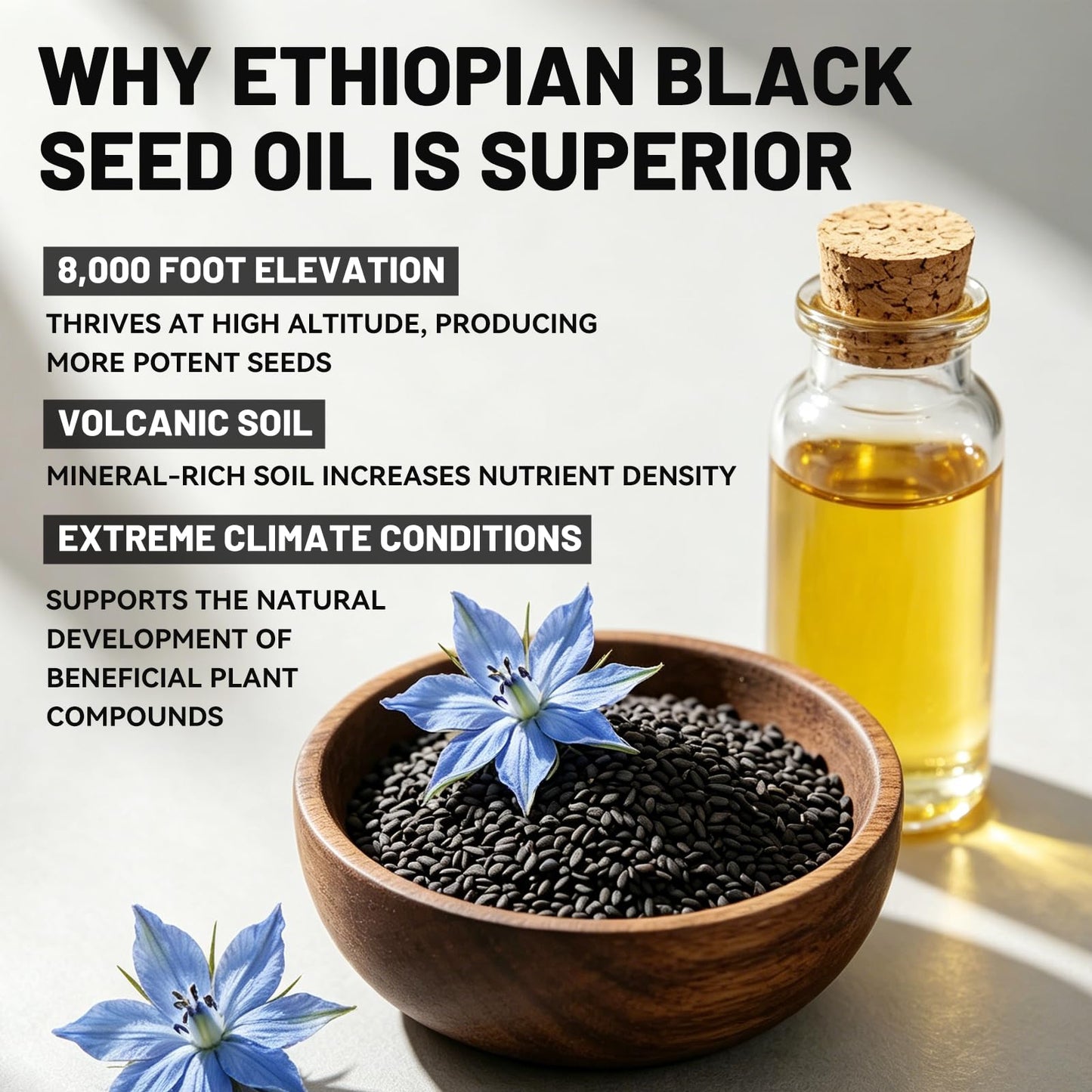 OOLUNESSAOO Ethiopian Black Seed Oil Softgels 60 Capsules