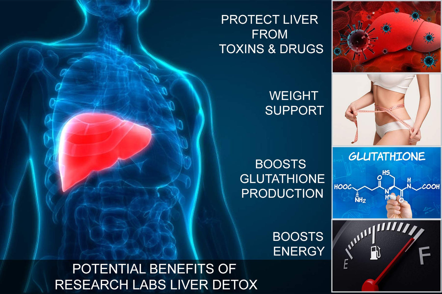 Research Labs Liver Detox Capsules with Milk Thistle, Beet Root & Dandelion, 120 Capsules