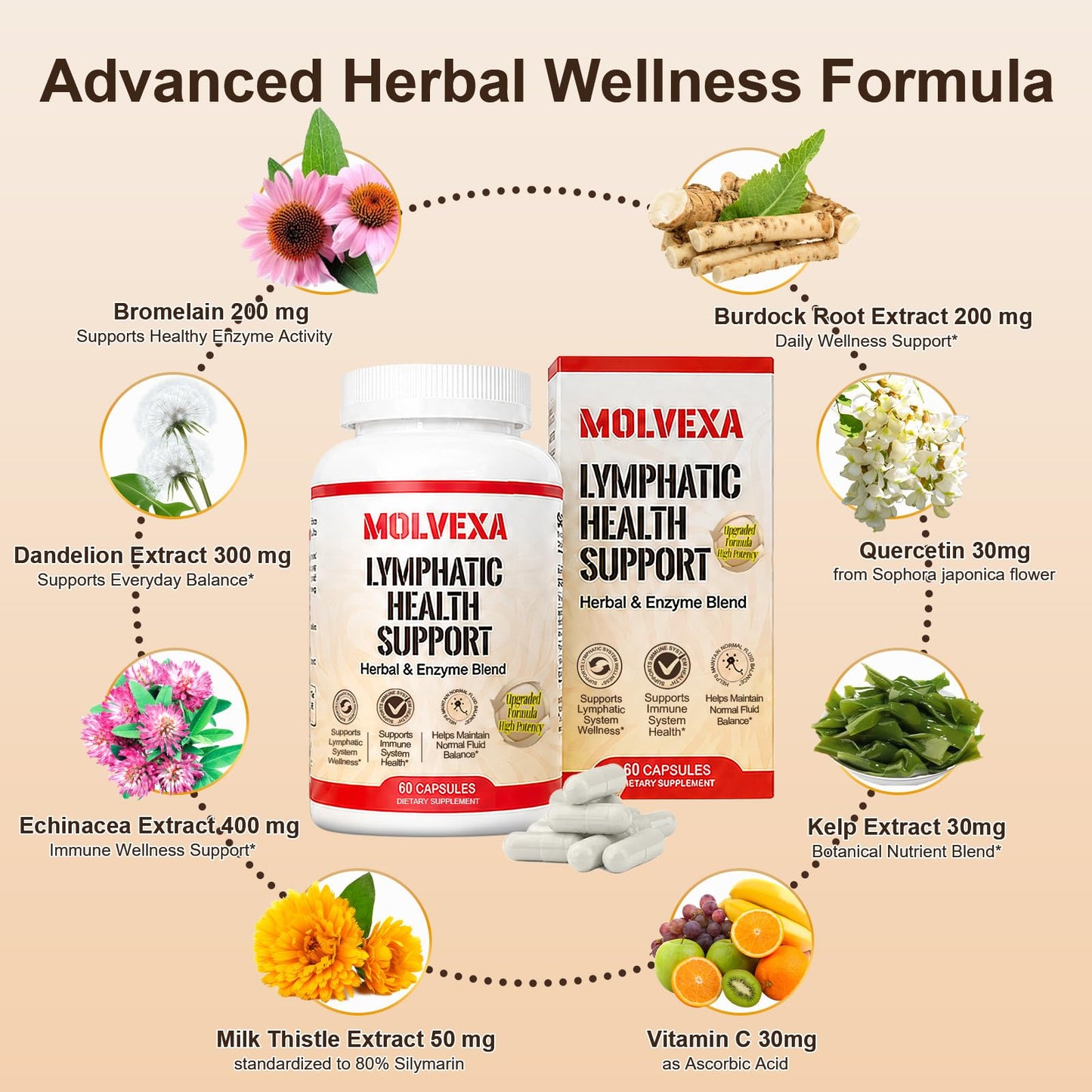 MOLVEXA Lymphatic Drainage Capsules Cleavers Extract, 60 Capsules